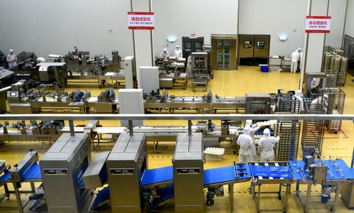 河北石家莊欒城區(qū)企業(yè)生產(chǎn)繁忙，力促產(chǎn)業(yè)新格局，與鄭州軟件開發(fā)協(xié)同發(fā)展